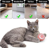 Cat Toy Ball Intelligent Funny Cat Ball 360 Degree (Pack of - 1)